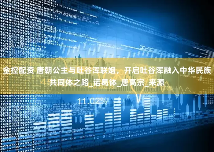 金控配资 唐朝公主与吐谷浑联姻，开启吐谷浑融入中华民族共同体之路_诺曷钵_唐高宗_来源