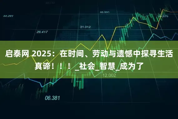 启泰网 2025：在时间、劳动与遗憾中探寻生活真谛！！！_社会_智慧_成为了
