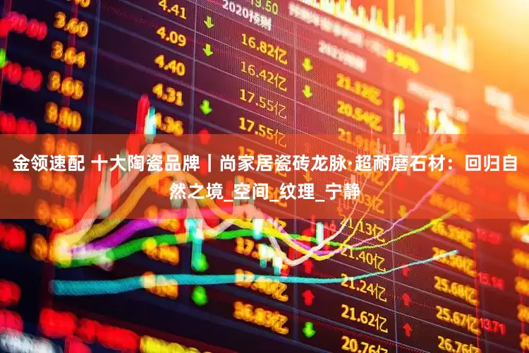 金领速配 十大陶瓷品牌｜尚家居瓷砖龙脉·超耐磨石材：回归自然之境_空间_纹理_宁静