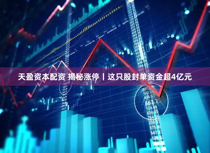 天盈资本配资 揭秘涨停丨这只股封单资金超4亿元