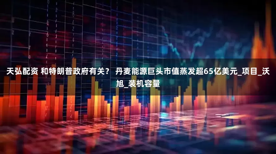 天弘配资 和特朗普政府有关？ 丹麦能源巨头市值蒸发超65亿美元_项目_沃旭_装机容量