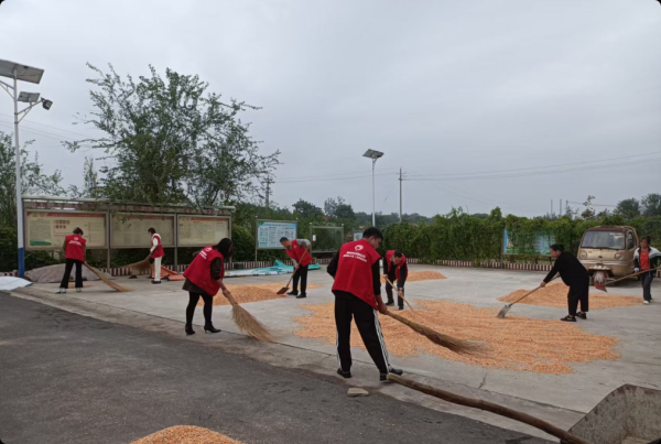 广盛网  东营市垦利区王沙村助力村民雨季抢收抢晒